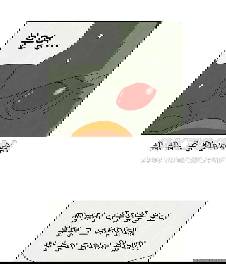 17302389898558psf67ct2ws.jpg