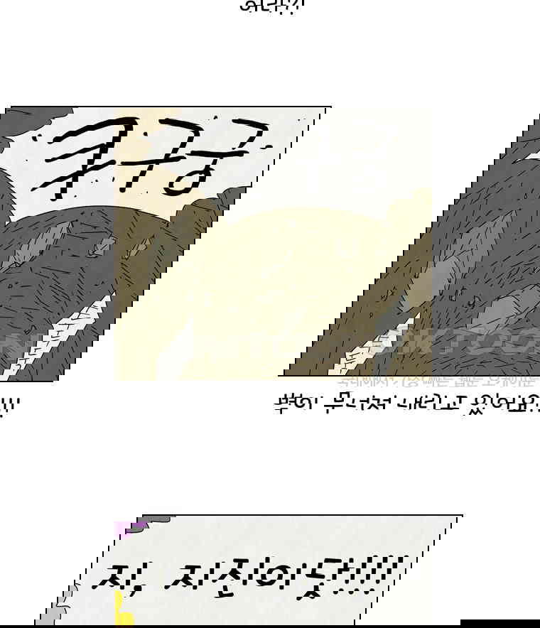 17302393152160lidcc34nb5.jpg
