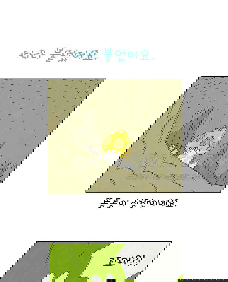 1730239356839x9ikz76871.jpg