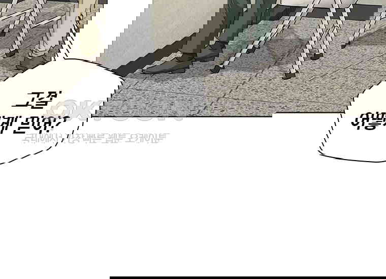 17303327111395t62eogfpki.jpg