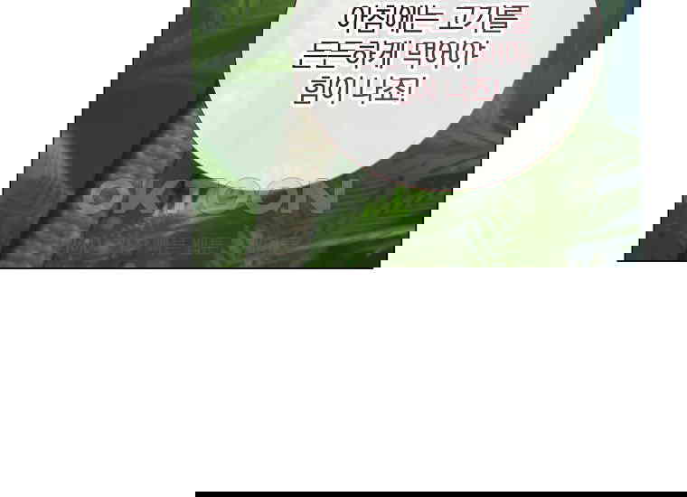 17303340578349u60wl6p658.jpg