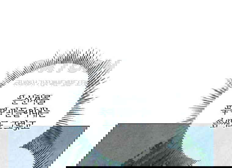 1730334067339t24orwqcje.jpg