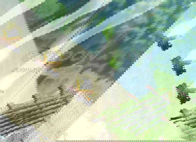 1730334068251qv5y08mgatl.jpg