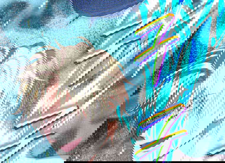 17303340748525rklg7v6jpp.jpg