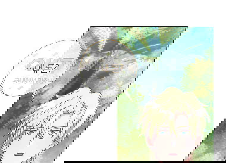 1730334080181opg5kxr3kl9.jpg