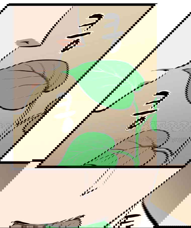 17303339875914f5jxrcorbc.jpg