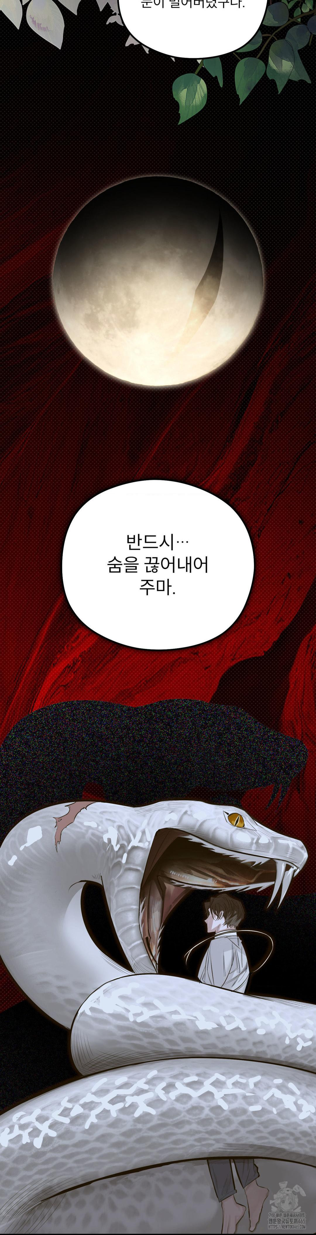 1731277501409asoqvxcepyu.jpg