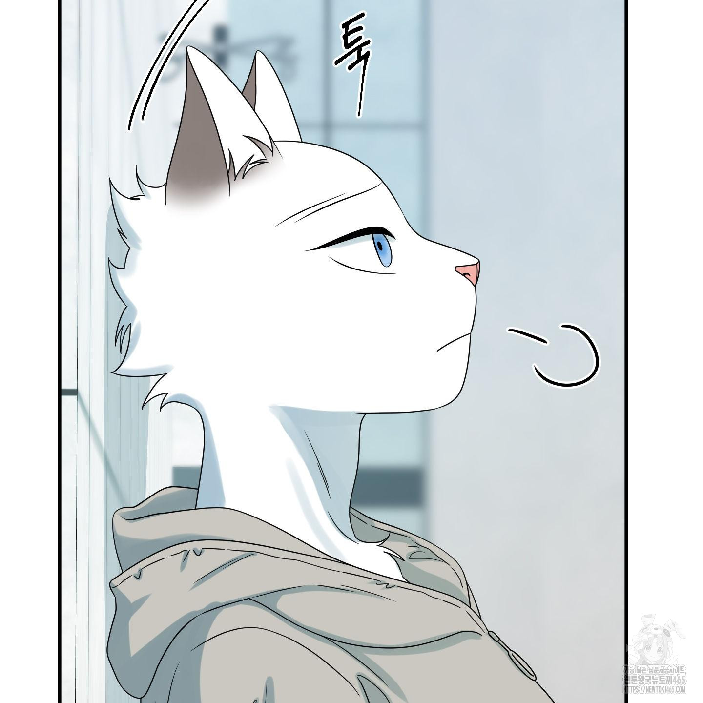 17313877380040u3bt0jjewl.jpg