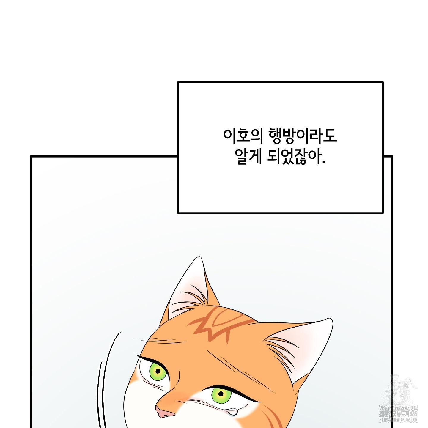 1731387747147oja66lwfvj.jpg