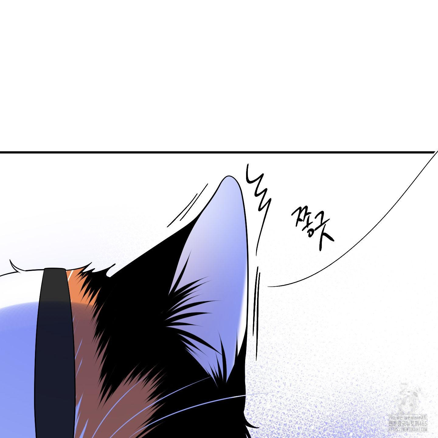 1731387760304ph0uon66ehs.jpg