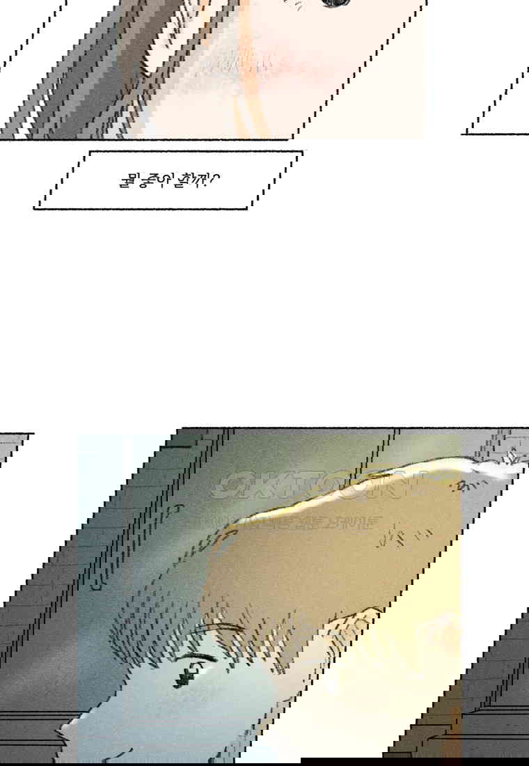 17305561498936cvnm4ogegb.jpg