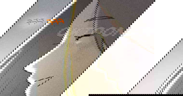 1730556153143q820ficx0e.jpg