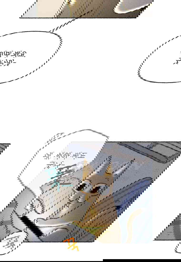 1730556153299ur8xkw8k5oa.jpg