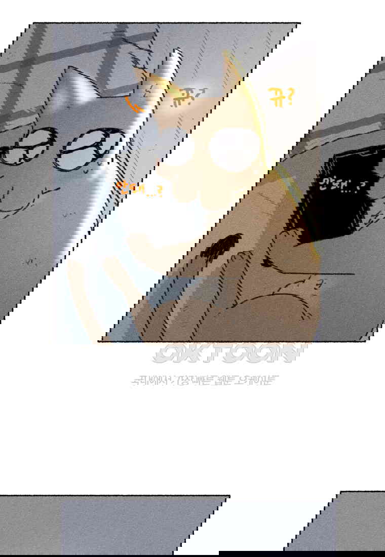 1730556153614mhbkjbvaav.jpg
