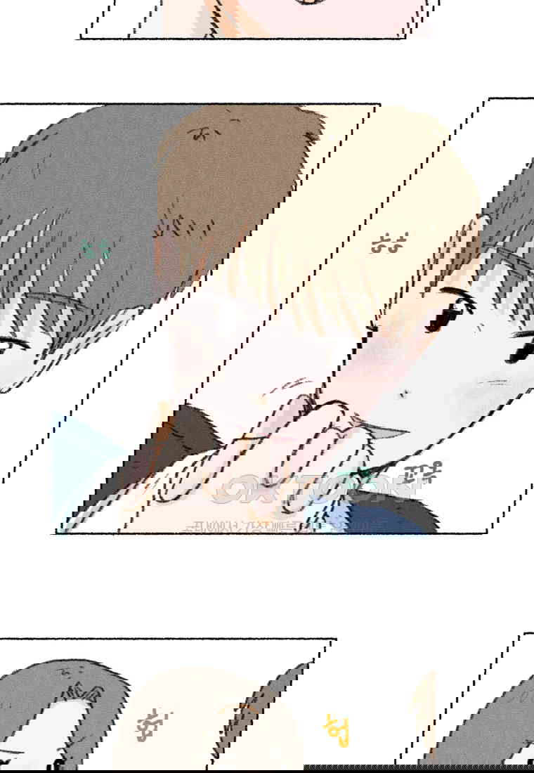 1730556166060isb7swig0lf.jpg