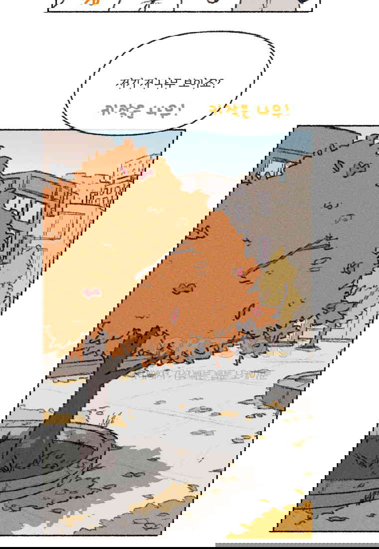 17305561663649jtkrxl76gp.jpg