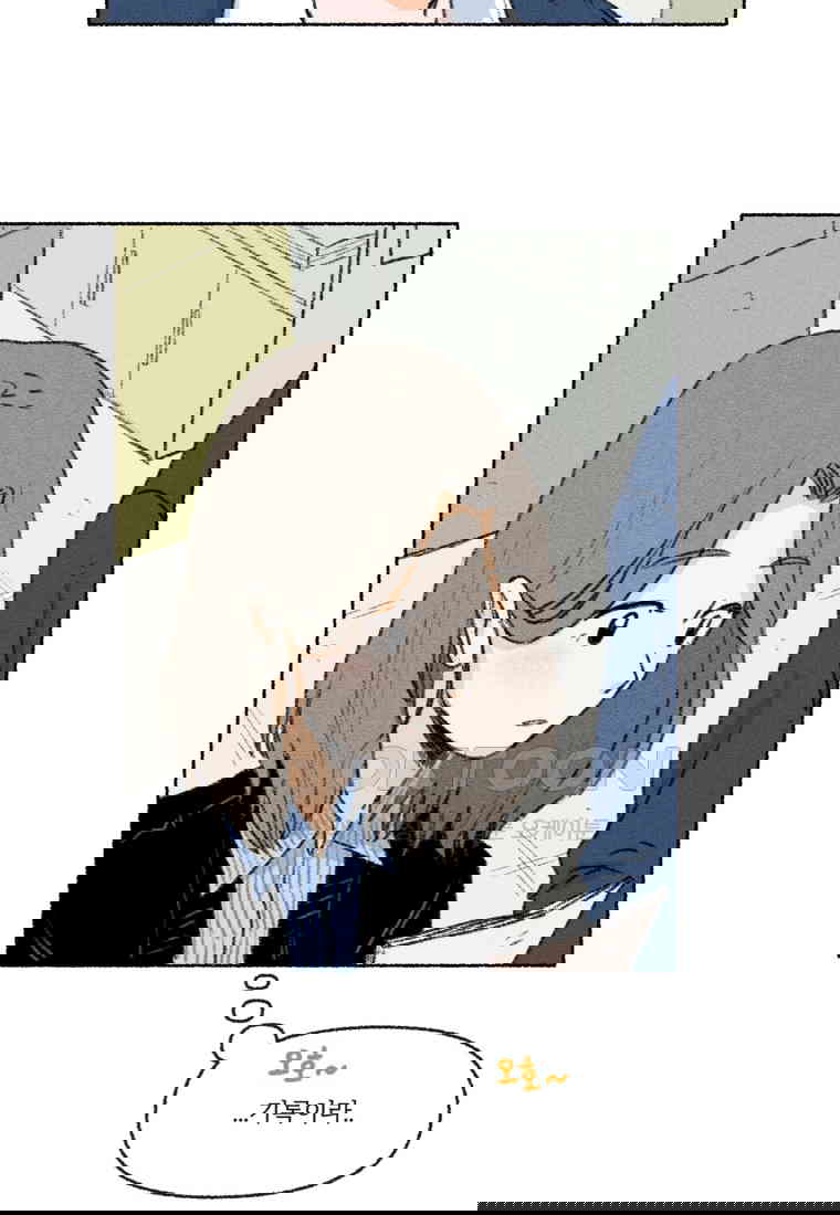 1730556171329fwbukfbfvid.jpg