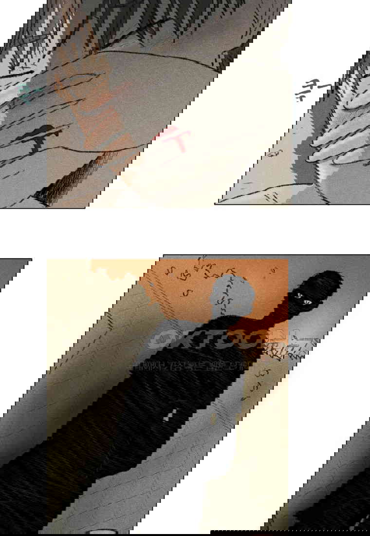 1730556248798cn0135ya23f.jpg