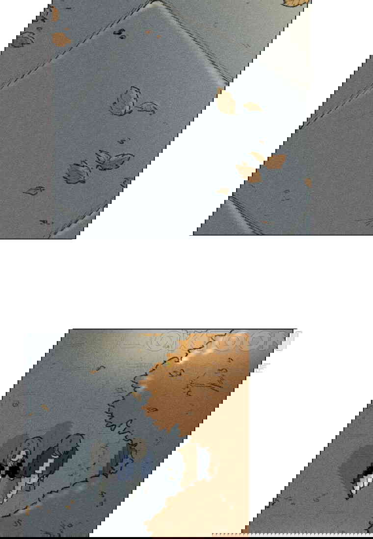 1730556268835sk3nvuwv1yi.jpg