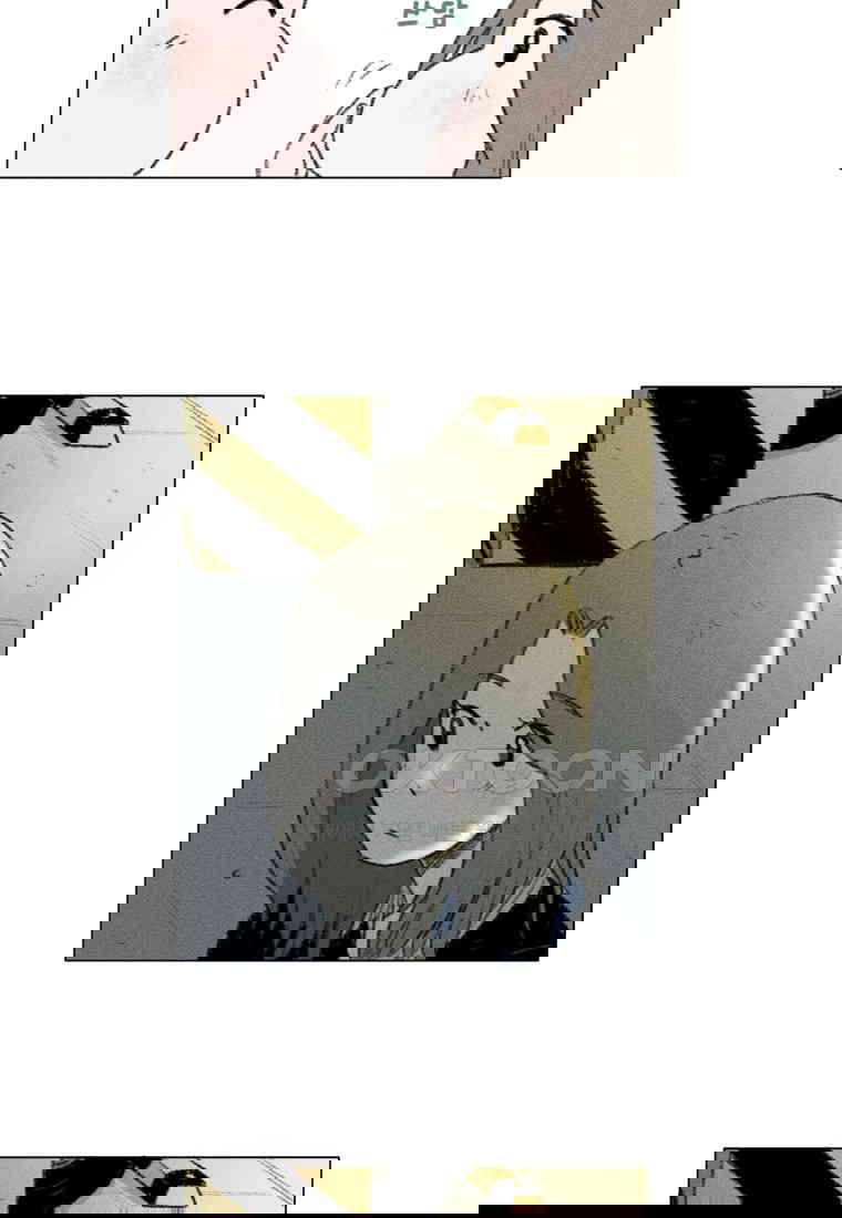 173055626960626y5tkn96s5.jpg