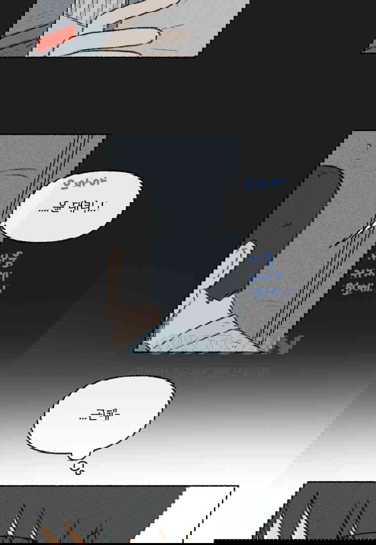 1730556295569ik7sc6wqk.jpg