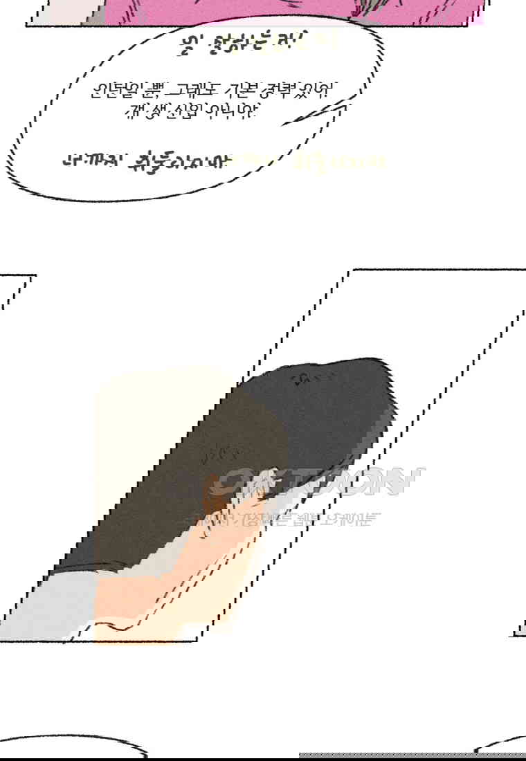 1730556310124owybia6y9x.jpg