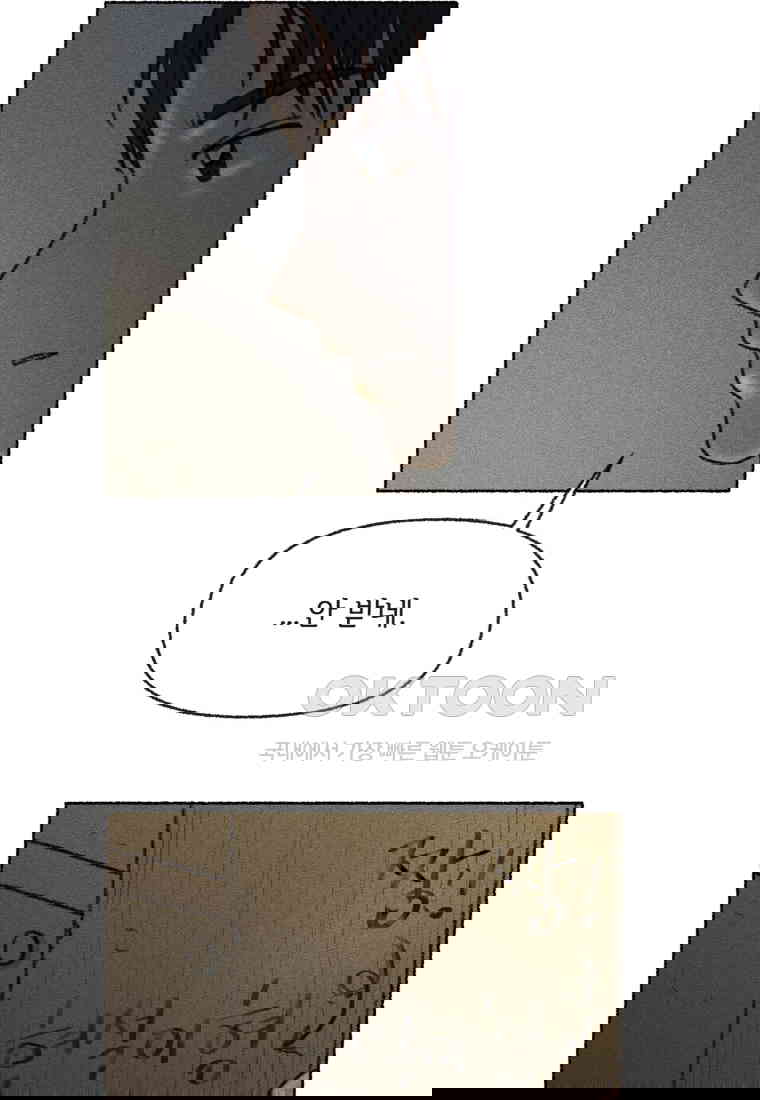 17305563211173tolym8sgo3.jpg