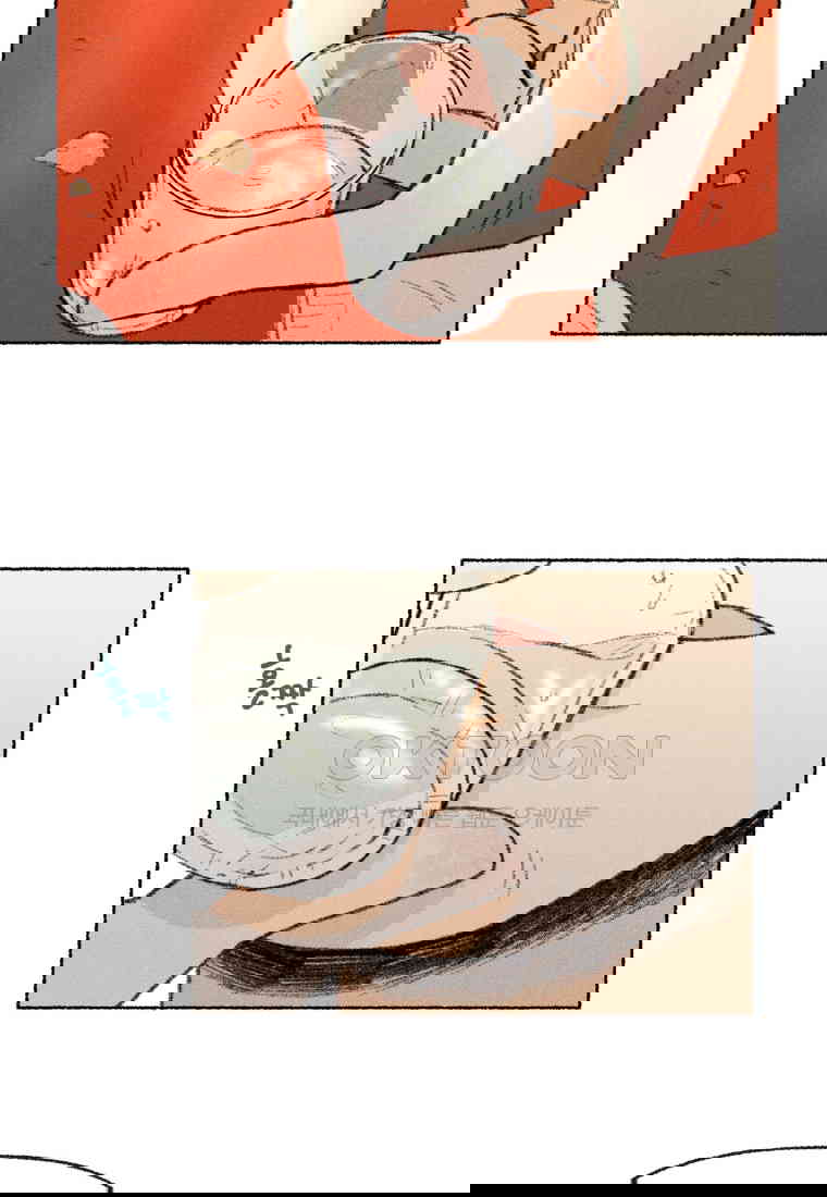 1730556356636vivuu22icb.jpg