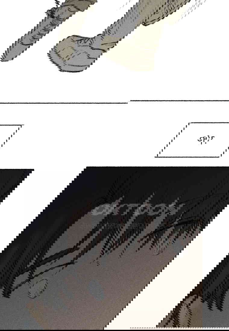 1730556361544ymjs3umbif.jpg