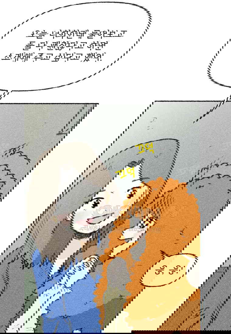 1730556498868z4zcgypniwc.jpg
