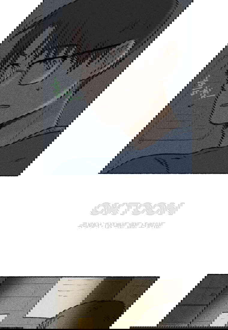 1730556500730aj31if0992d.jpg
