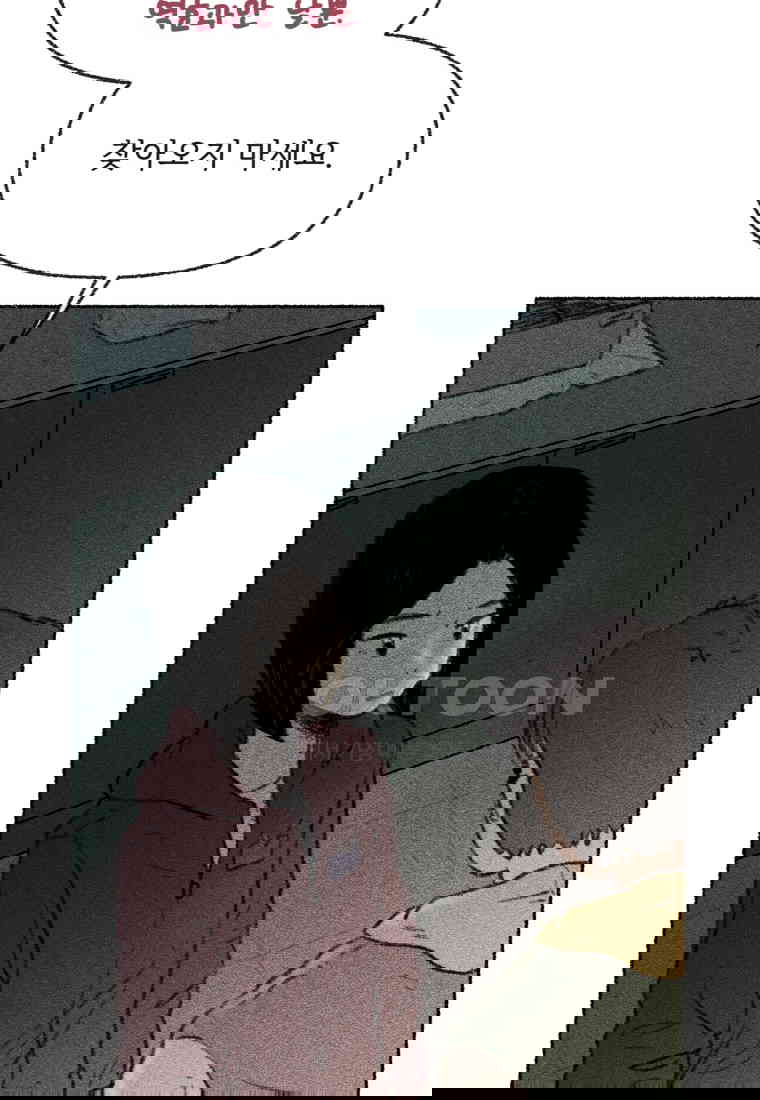 1730556502609135e4epfjx5.jpg