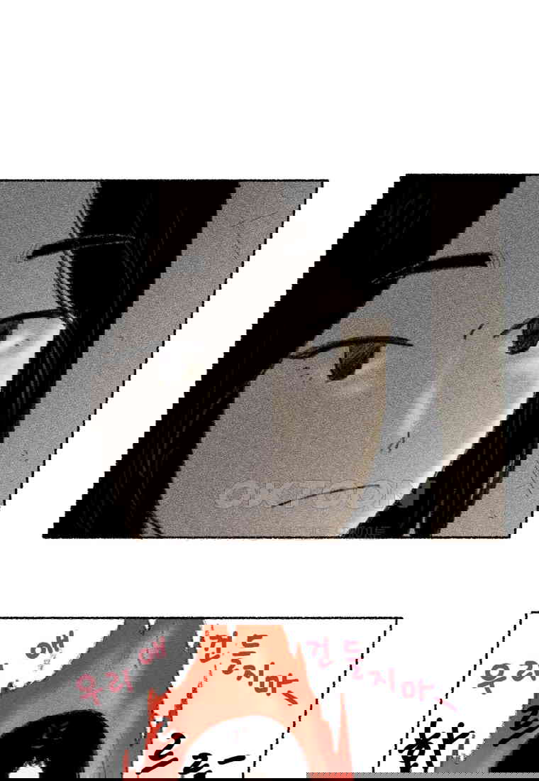 1730556503697vgtmgggfp2.jpg