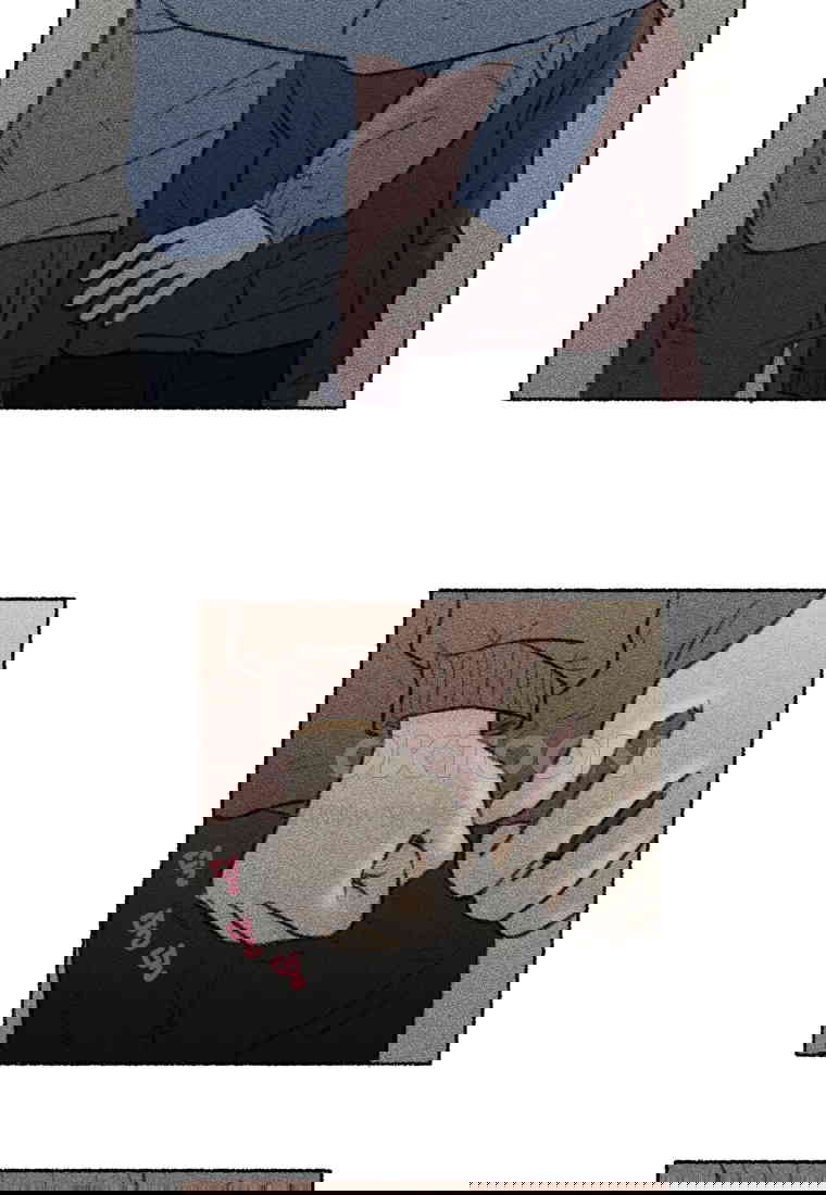 1730556504788medo4ih5k7r.jpg