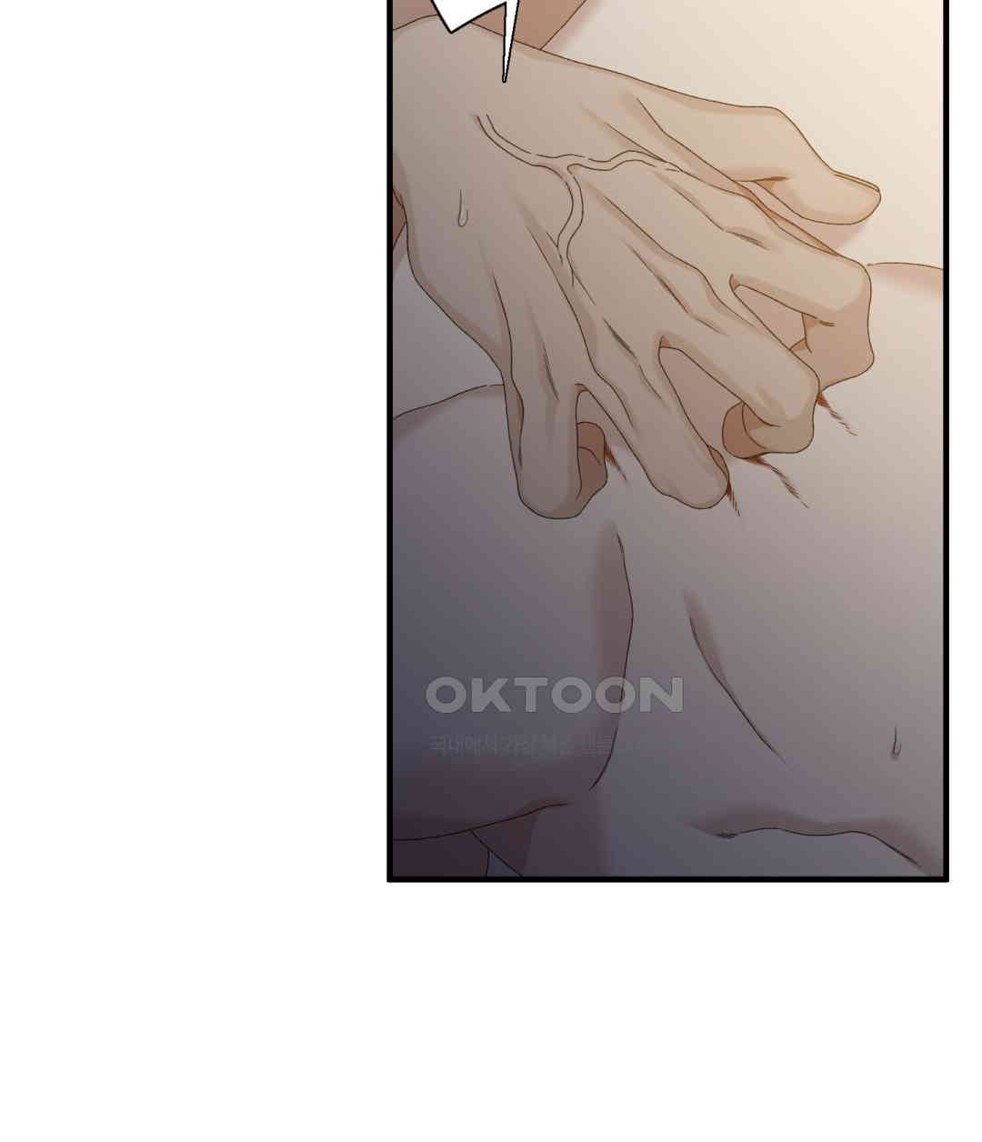 1730556279469wfibhm8hn4.jpg