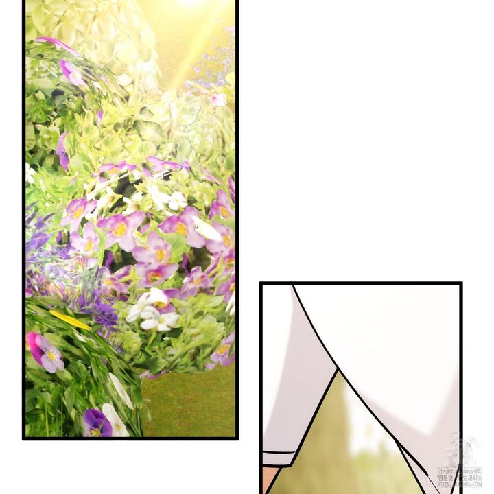 1732142574924it5hbfibvlq.jpg