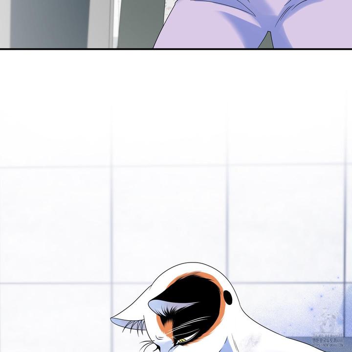 17326072405461ghlpyskz.jpg