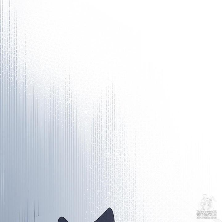 1732607241953pmeqx2njgfi.jpg