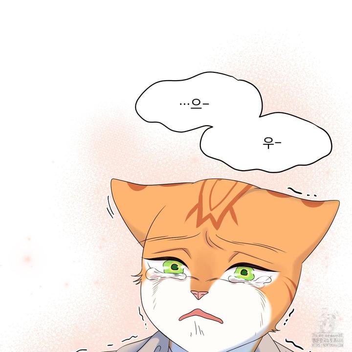 1732607259969m9xwqbplmee.jpg