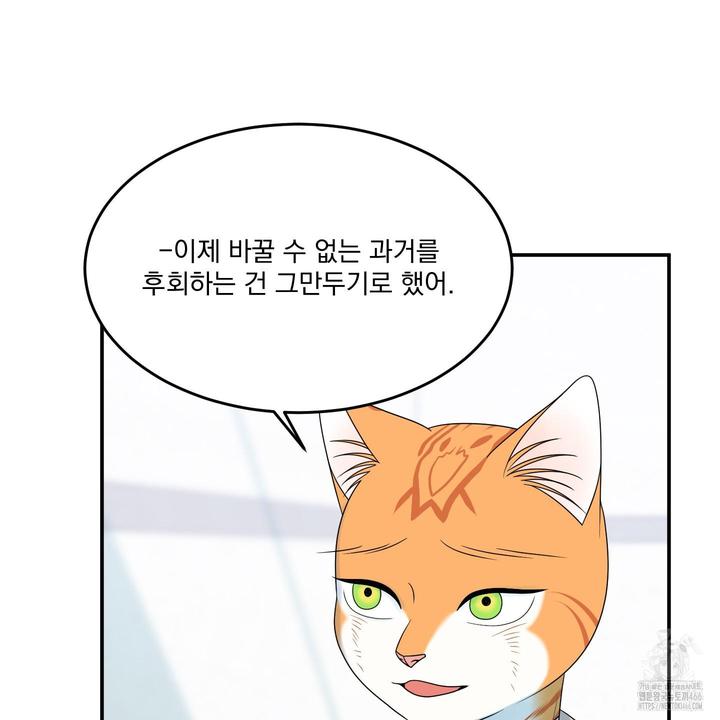 1732607265278bz7eml24cl.jpg