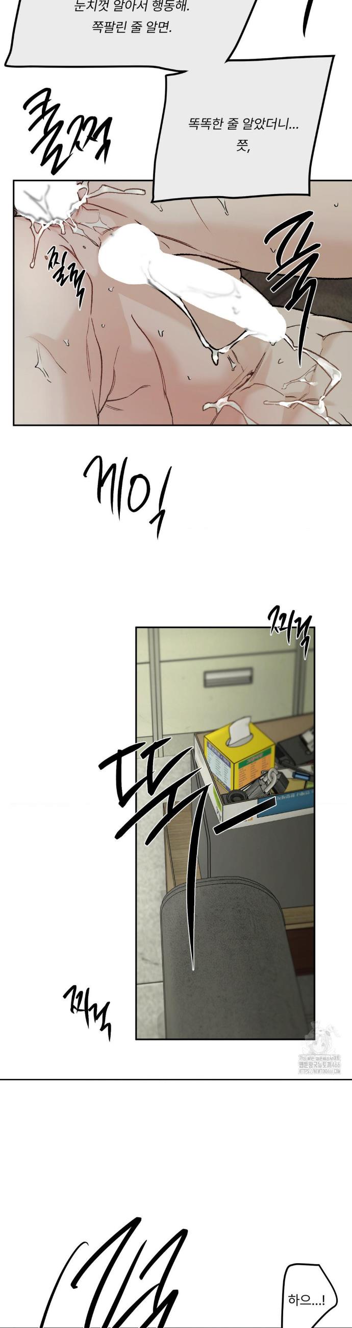 173274269038854zegzij1zp.jpg