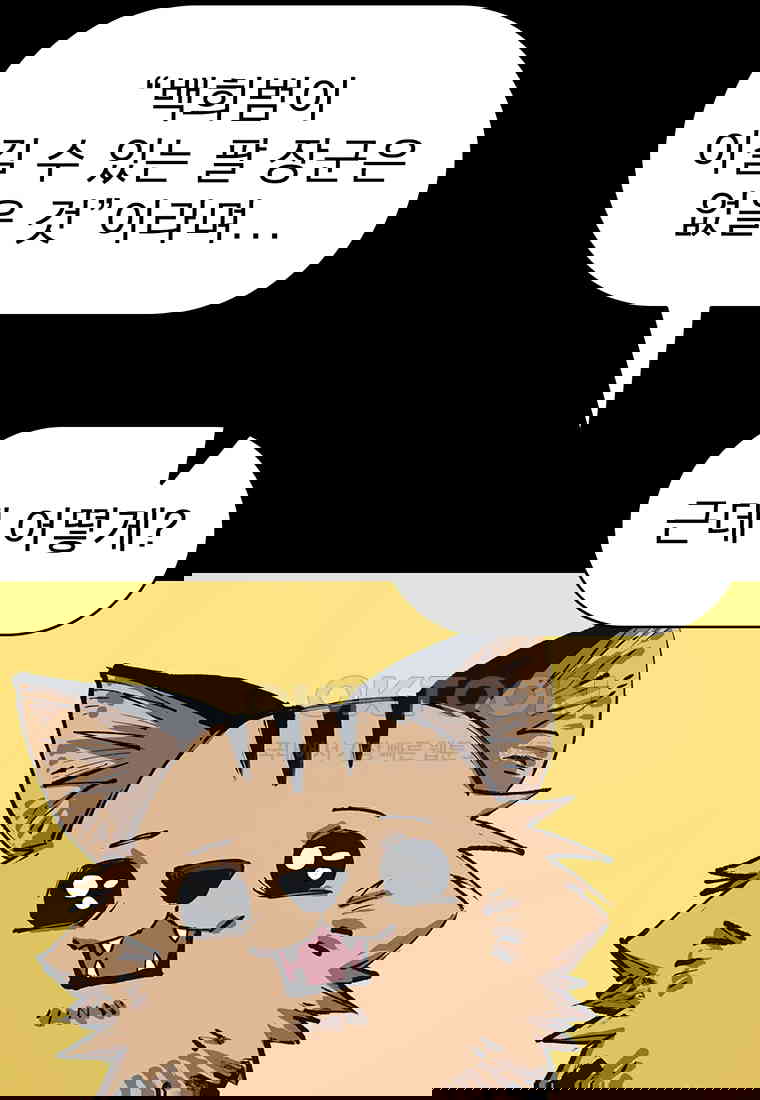 173075599009044t7auuobqh.jpg