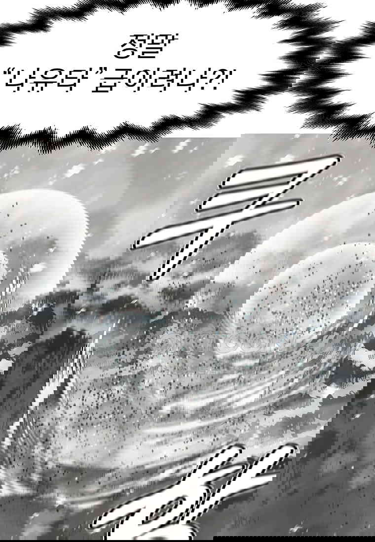1730755994165k65zxjww02d.jpg