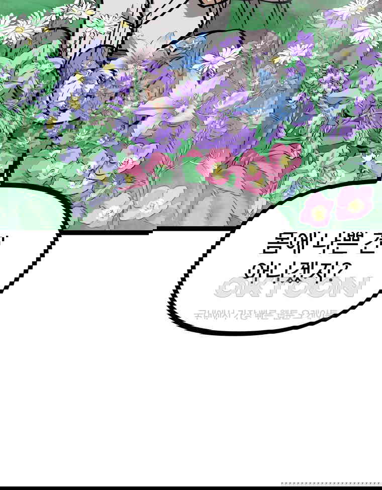 1730930422368jxyowed00b.jpg