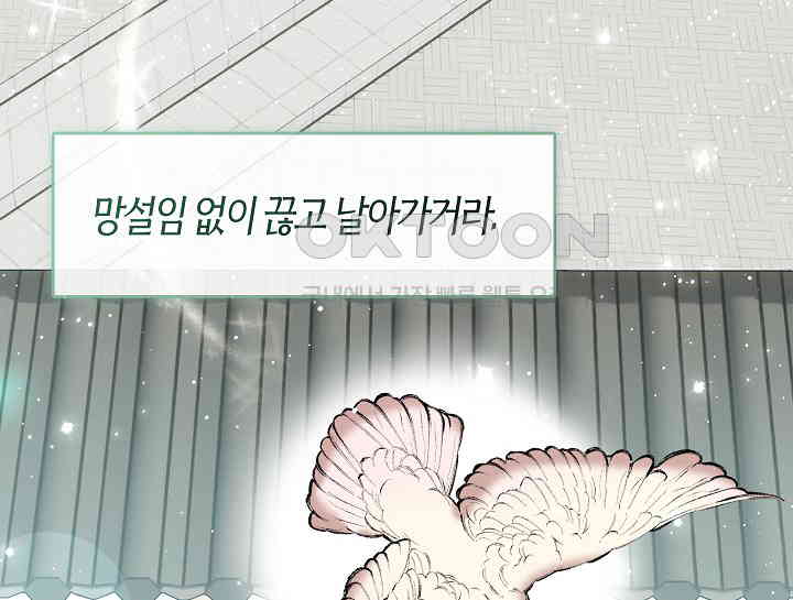 1731152588515erhyobs2q8s.jpg