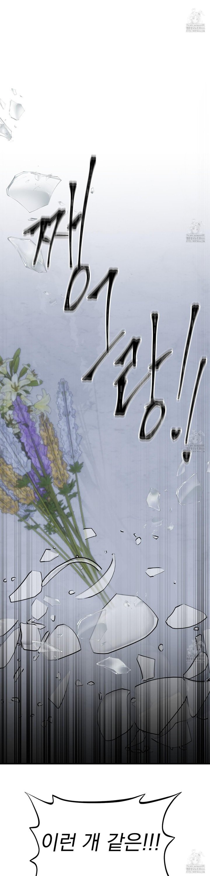 1735637949375afrx5nv0eu.jpg