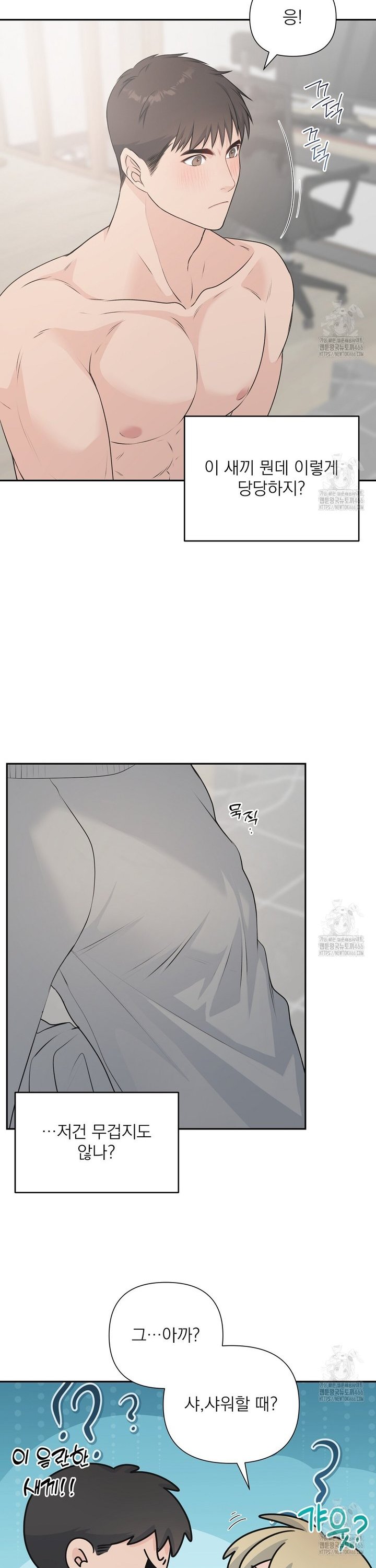 17335860006942t3u0ggi2jp.jpg