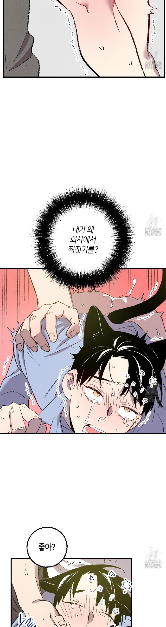 17369728180329gdxgayz1lw.jpg