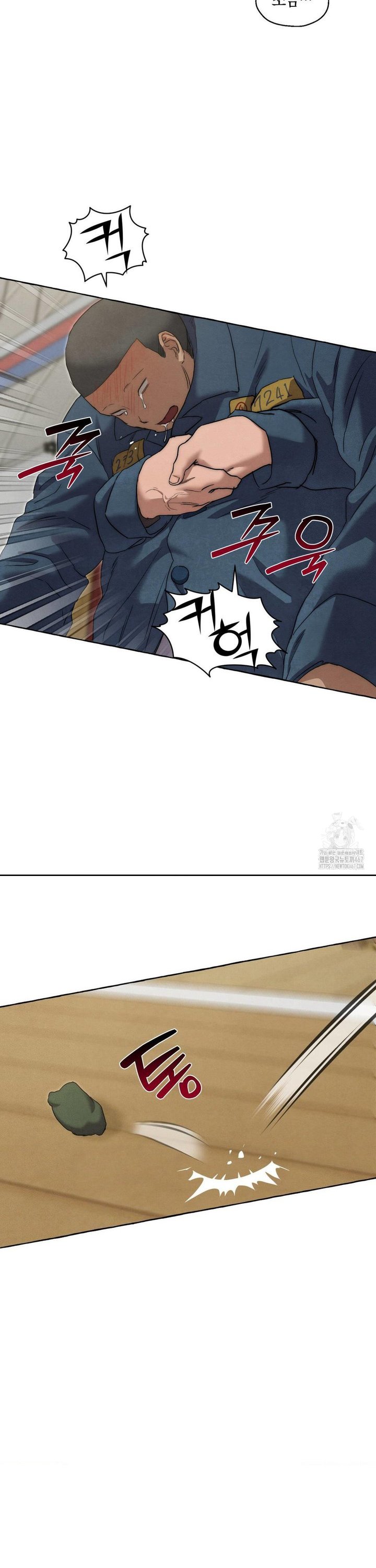 1737066518150hfrsfzl11x.jpg