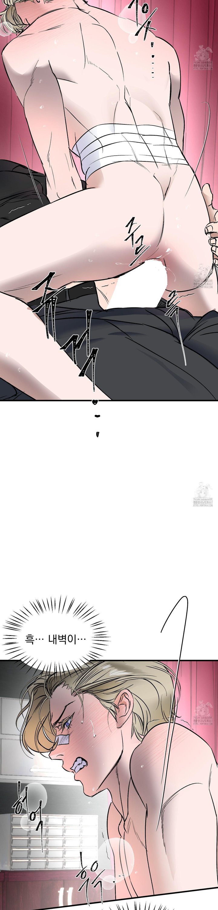 1737316203330i67gyfmxo3j.jpg